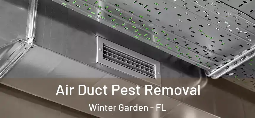 Air Duct Pest Removal Winter Garden - FL