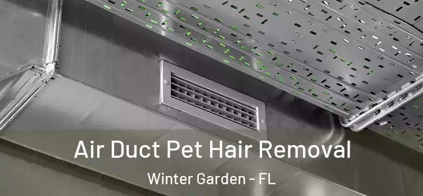  Air Duct Pet Hair Removal Winter Garden - FL