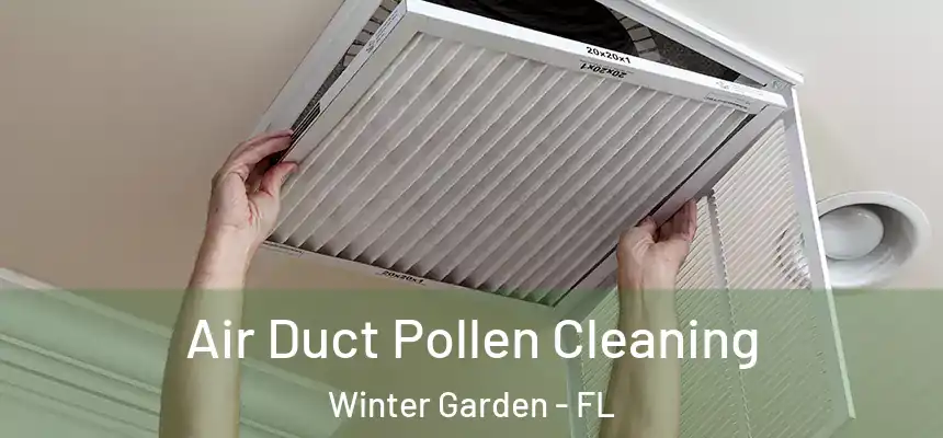Air Duct Pollen Cleaning Winter Garden - FL