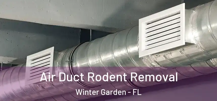 Air Duct Rodent Removal Winter Garden - FL