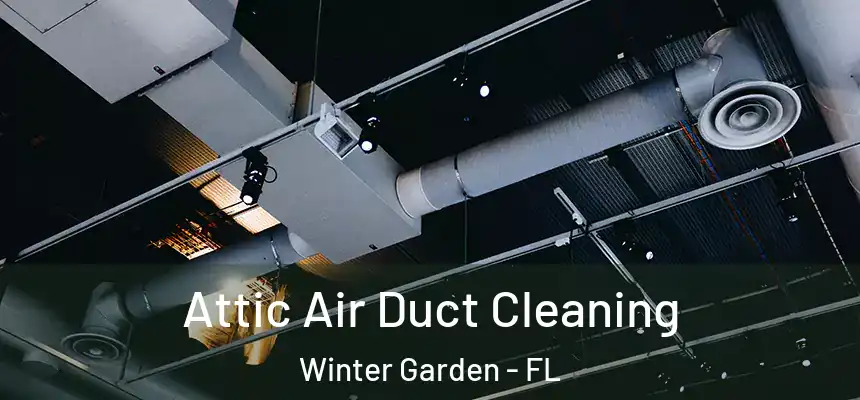  Attic Air Duct Cleaning Winter Garden - FL