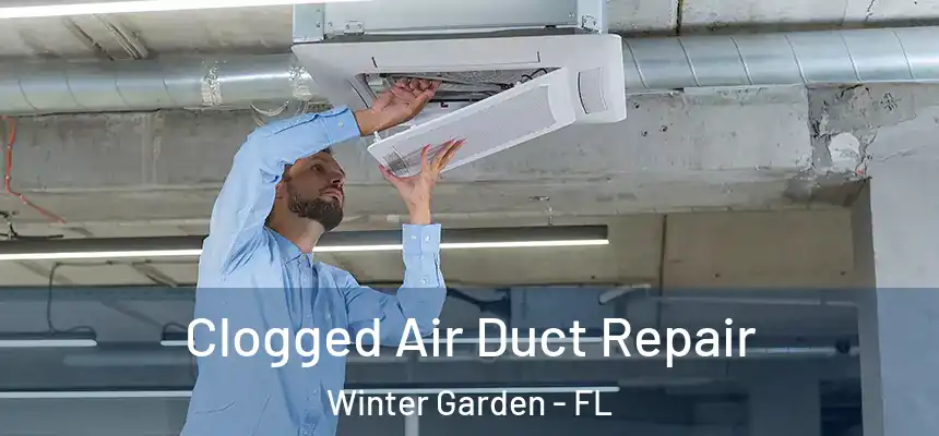  Clogged Air Duct Repair Winter Garden - FL