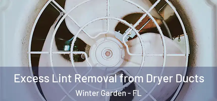  Excess Lint Removal from Dryer Ducts Winter Garden - FL