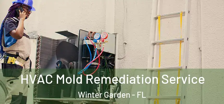  HVAC Mold Remediation Service Winter Garden - FL