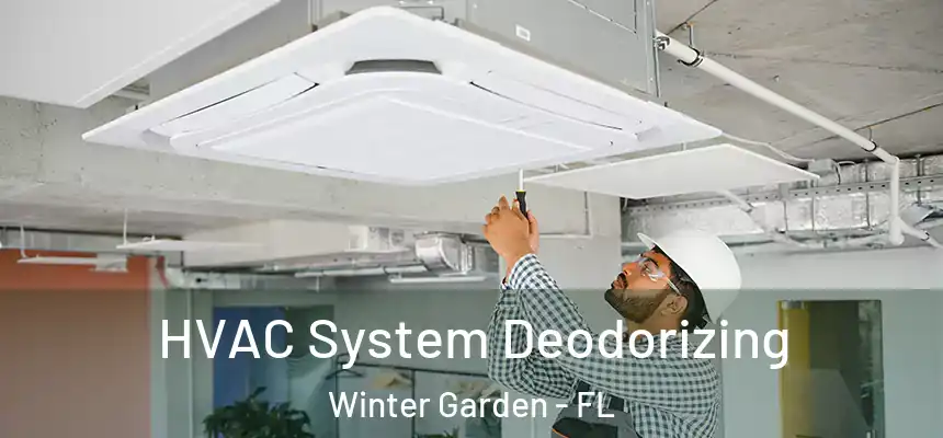  HVAC System Deodorizing Winter Garden - FL