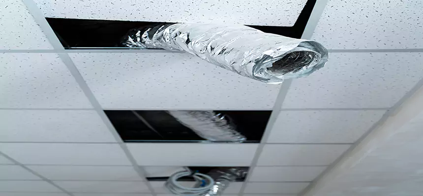 Our Air Duct Pet Hair Removal Services in Winter Garden, FL