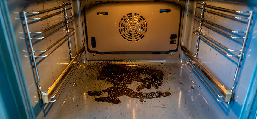 Our Dryer Vent Mold Cleaning Services in Winter Garden, FL