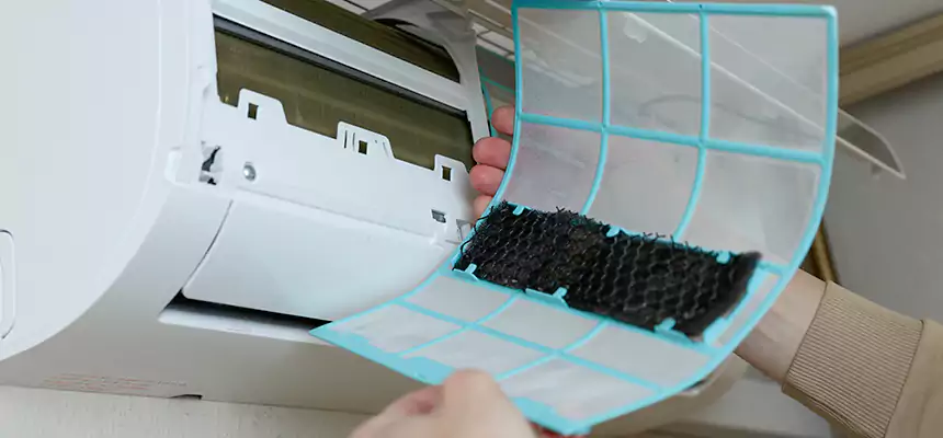 Gentle Ductwork Odor-Control Pet Dander Duct Cleaning in Winter Garden, FL