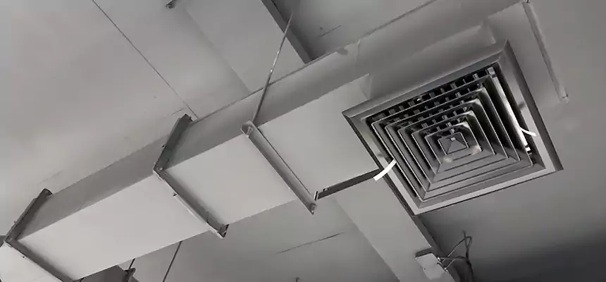 Our Rodent Droppings In Vents Services in Winter Garden, FL