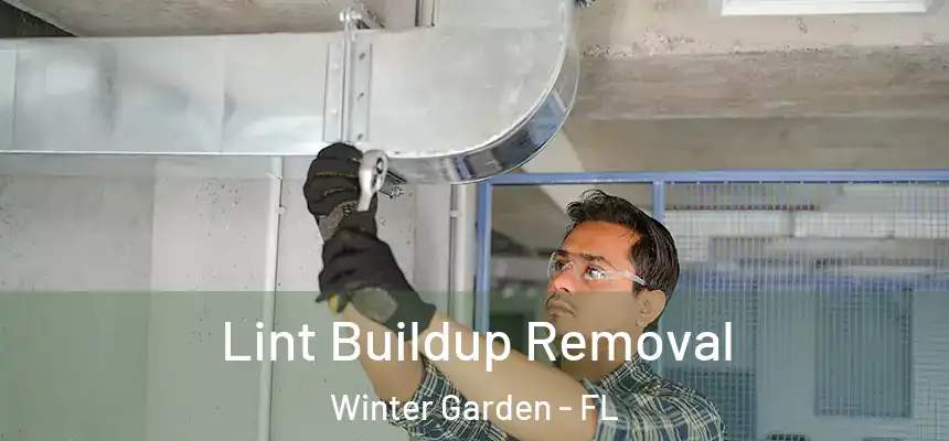 Lint Buildup Removal Winter Garden - FL
