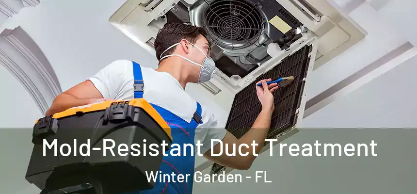 Mold-Resistant Duct Treatment Winter Garden - FL