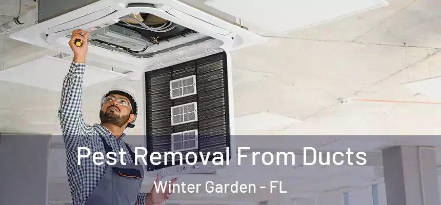  Pest Removal From Ducts Winter Garden - FL