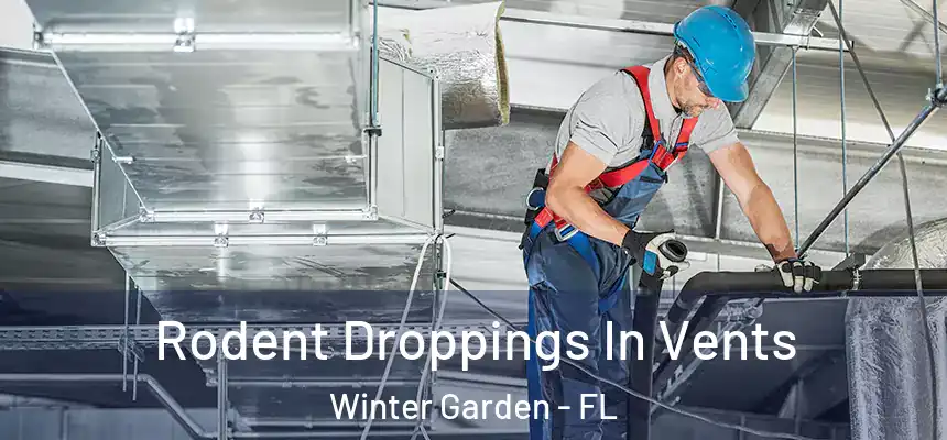  Rodent Droppings In Vents Winter Garden - FL