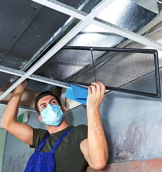 About Air Duct Bacteria Removal in Winter Garden