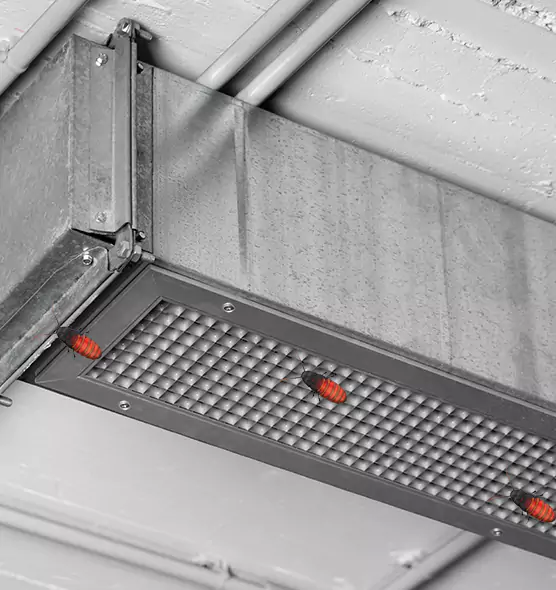 About Air Duct Cockroach Removal in Winter Garden, FL