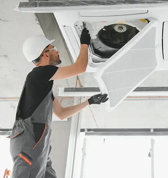 About Air Duct Rodent Removal in Winter Garden, FL