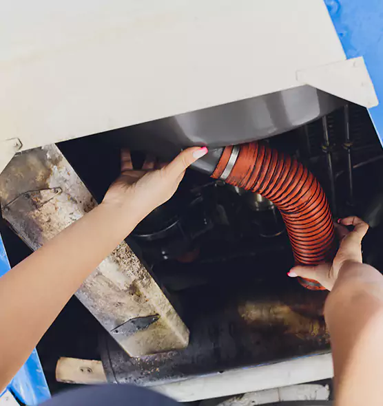 About Air Duct Virus Disinfection in Winter Garden, FL