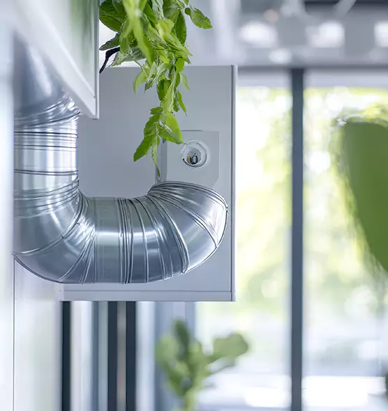 Professional Eco-Safe Dryer Vent Cleaning in Winter Garden, FL