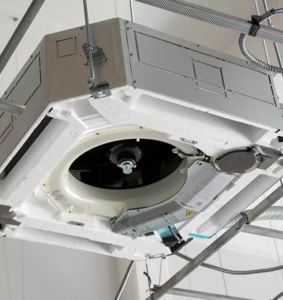 Professional Roof Vent Lint Removal Winter Garden, FL