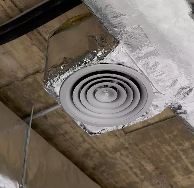 Why Homeowners & Businesses Trust Us in Winter Garden, FL?