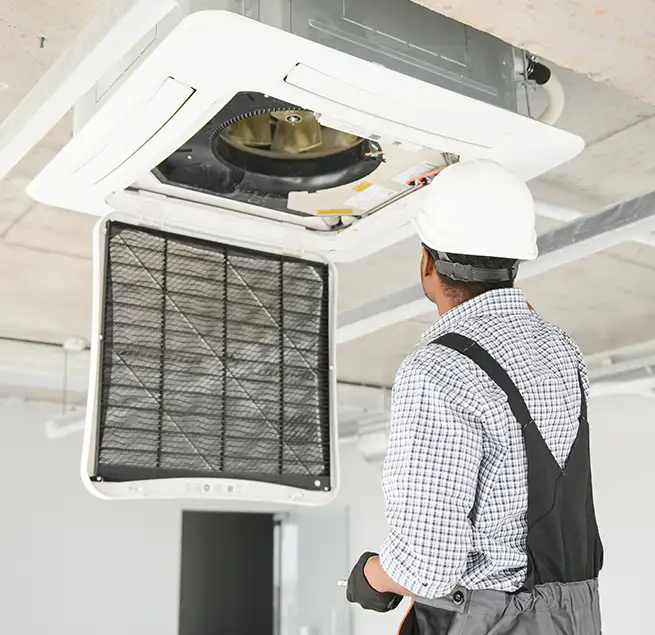 Why Homeowners & Businesses Trust Us in Winter Garden, FL?