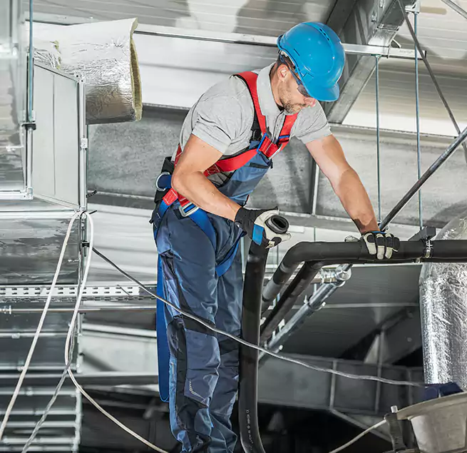 Why Homeowners & Businesses Trust Us in Winter Garden, FL?