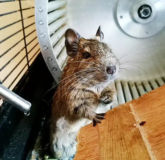 Why Homeowners & Businesses Trust Us Winter Garden, FL