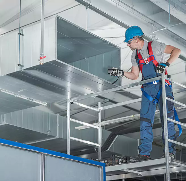 Why Homeowners & Businesses Trust Us in Winter Garden, FL?