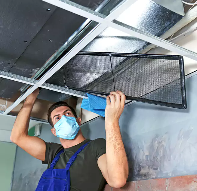 Why Homeowners Businesses Trust Us in Winter Garden, FL