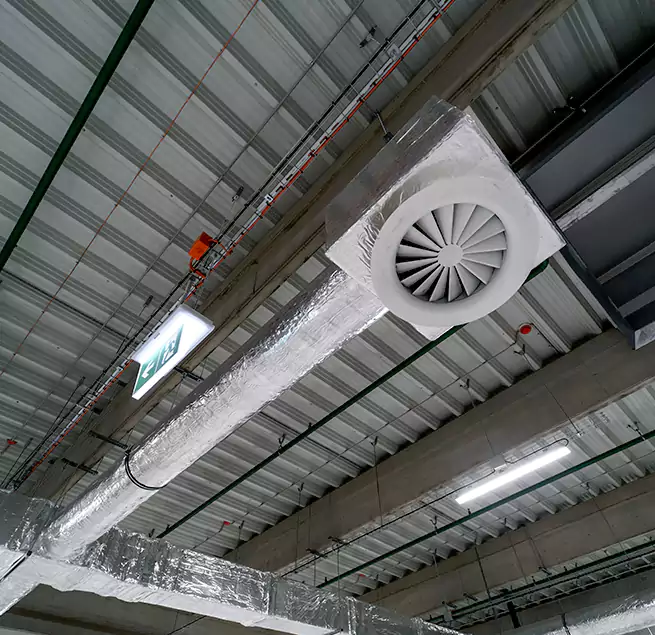 Why Homeowners & Businesses Trust Us in Winter Garden, FL