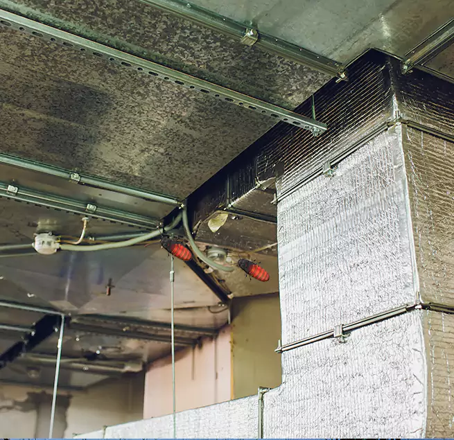 Why Homeowners & Businesses Trust Us Winter Garden, FL?