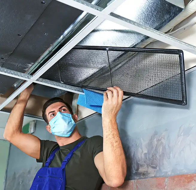 Why Homeowners & Businesses Trust Us in Winter Garden, FL?