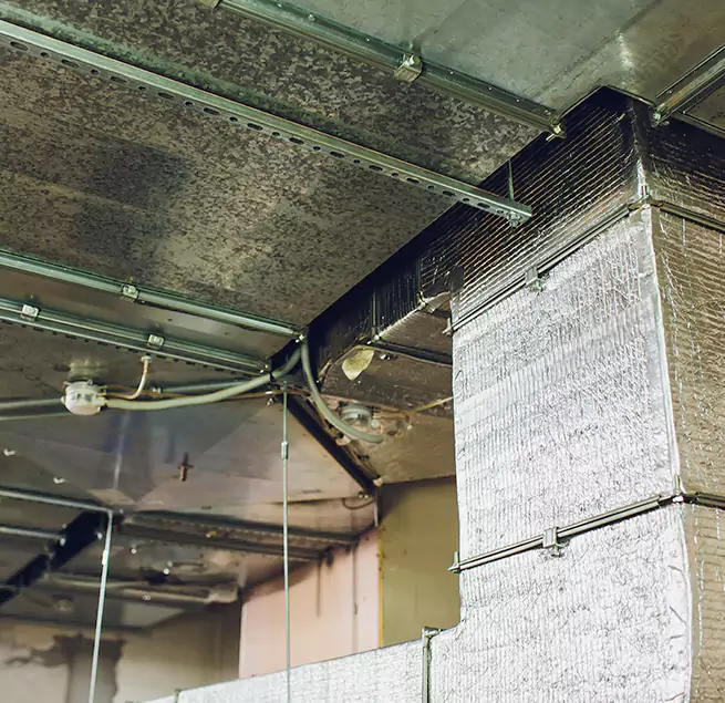 Why Homeowners & Businesses Trust Us in Winter Garden, FL?