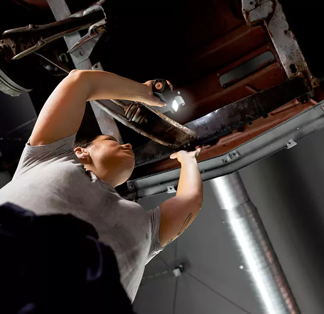 Why Homeowners & Businesses Trust Us Winter Garden, FL